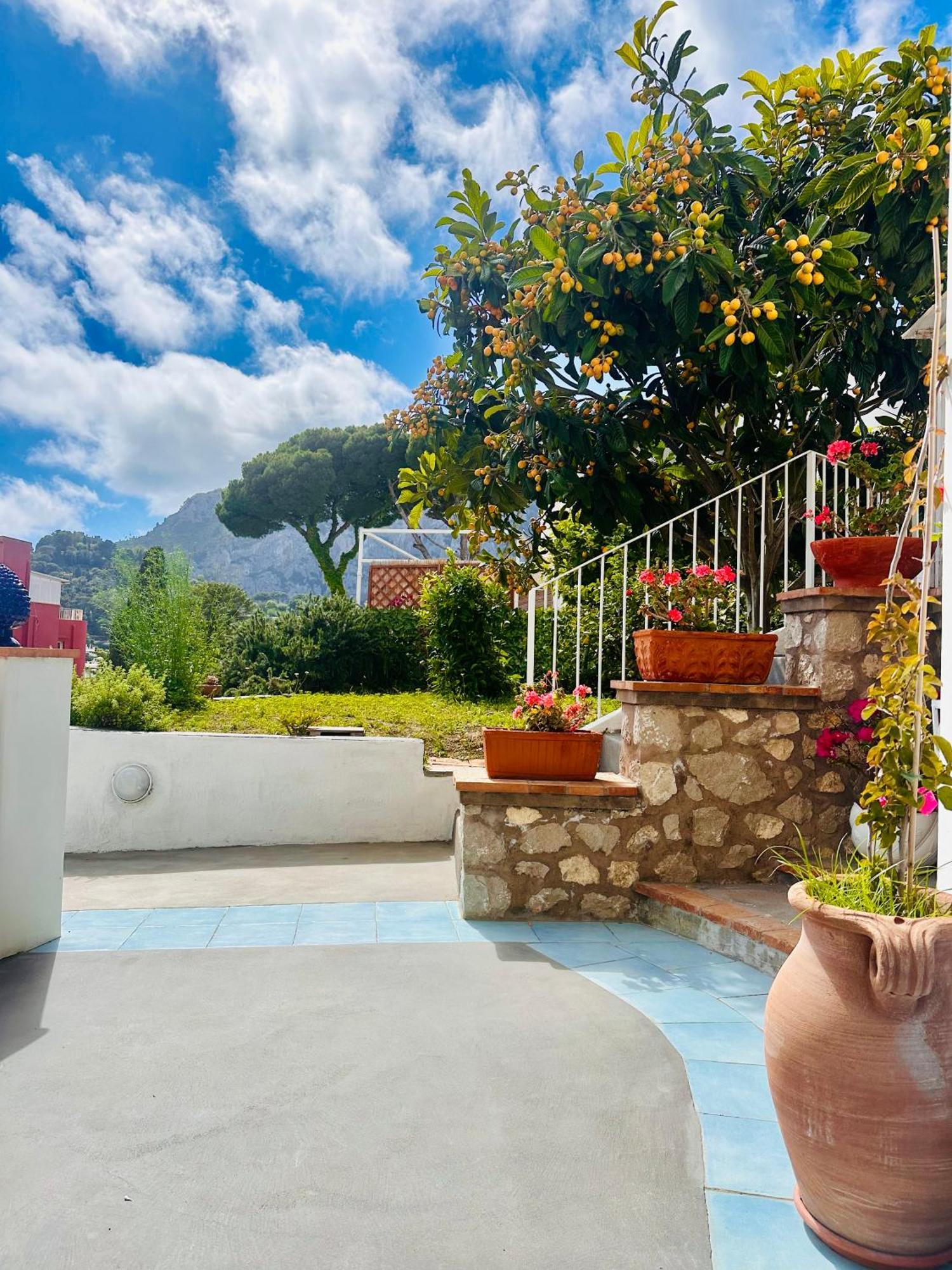 Capri Joy Villa Dış mekan fotoğraf