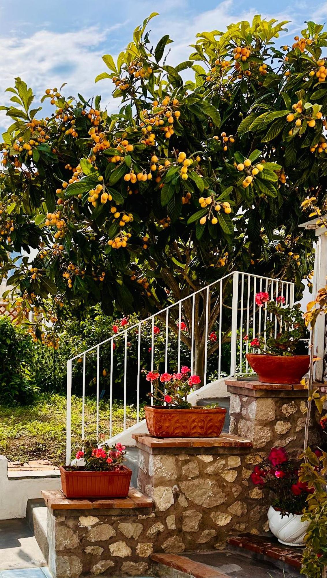 Capri Joy Villa Dış mekan fotoğraf